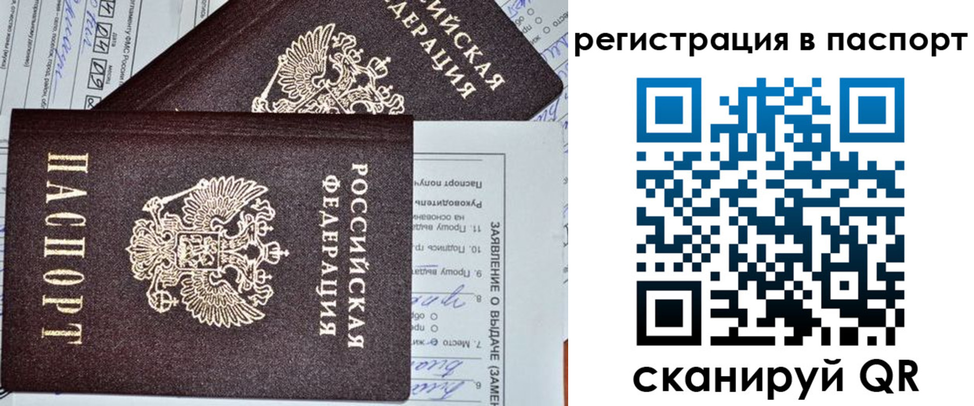 прописка законно в Каменск-Шахтинском